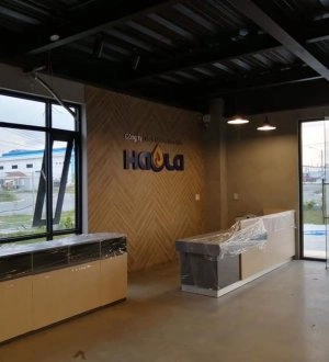 VĂN PHÒNG CTY HAOLA KCN HẢI SƠN - HIỆU ỨNG BÊ TÔNG MÃ 7L CONPA