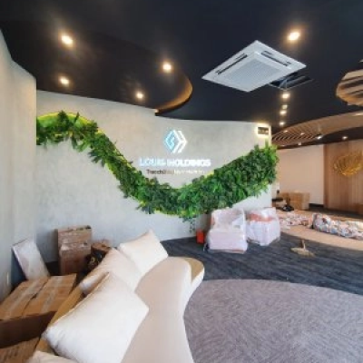 TẬP ĐOÀN LOUIS HOLDINGS - Hiệu ứng Bê tông