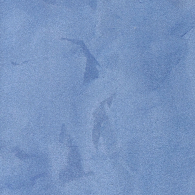 CP 1113