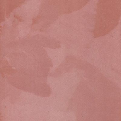 CP 0173
