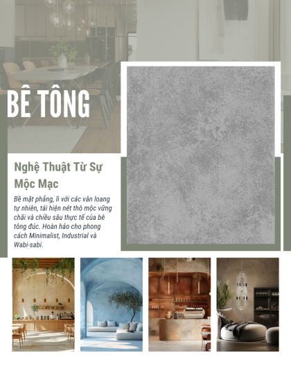 THÔNG TIN CHI TIẾT & COLLECTIONS