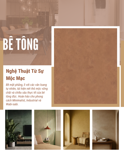 THÔNG TIN CHI TIẾT & COLLECTIONS