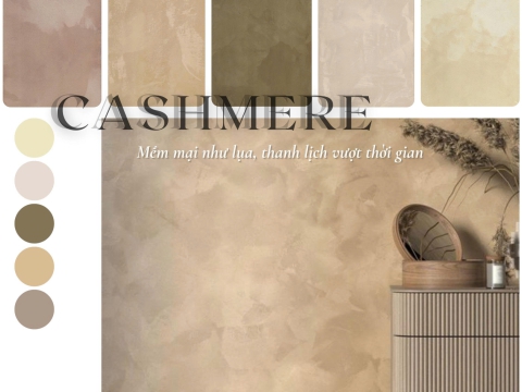 SƠN HIỆU ỨNG CASHMERE