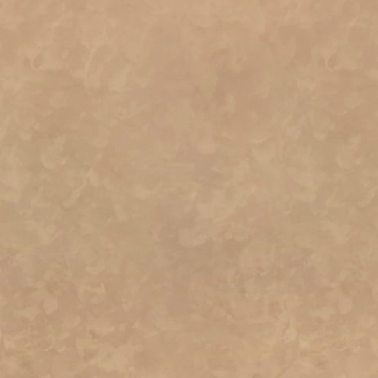 Clay 800 CL51