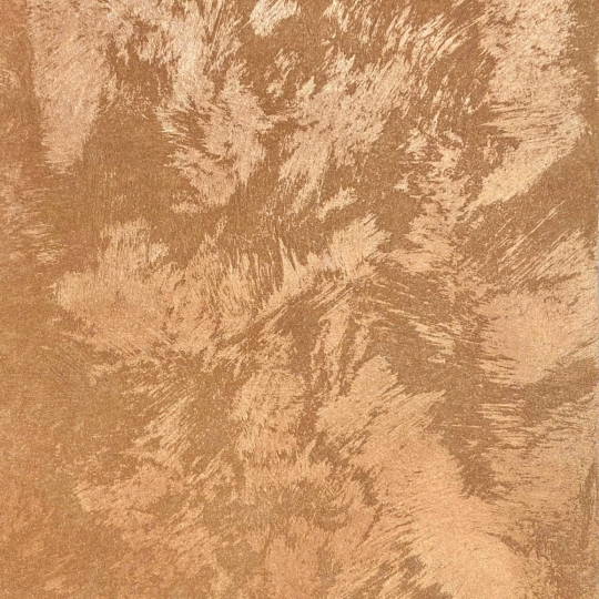 MS 01