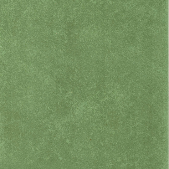 PT 0936 (50%)