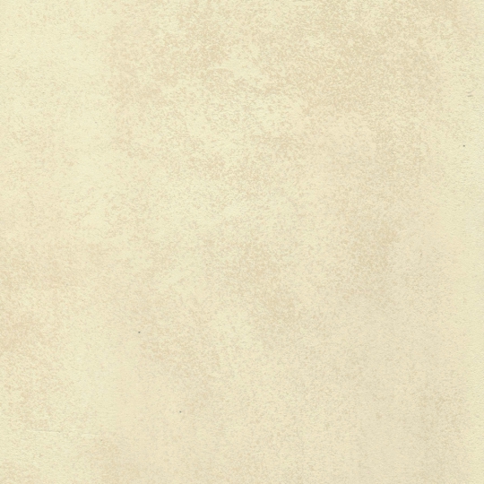 0597(50%)-0020