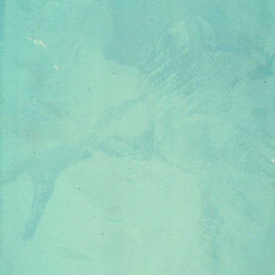 CP 0824